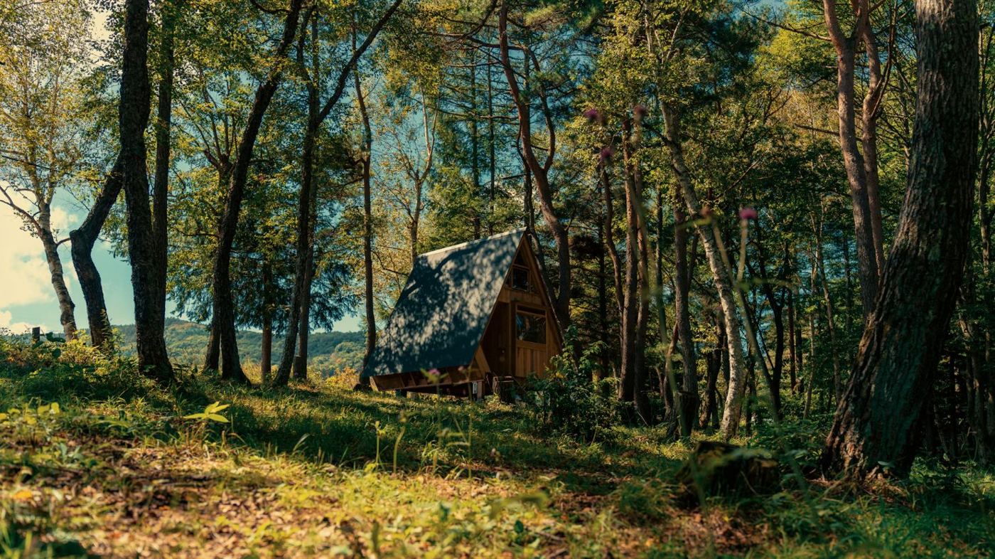 Petit chalet en bois au milieu d'une forêt